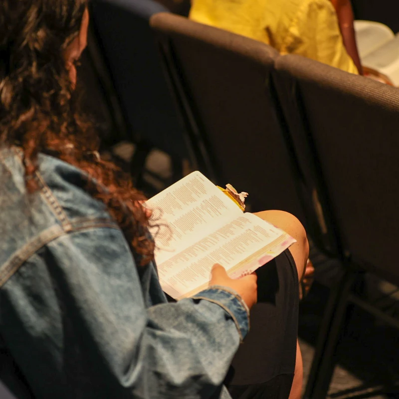 <b><span style="color:var(--primary-color-bg)">FAITH</span></b>