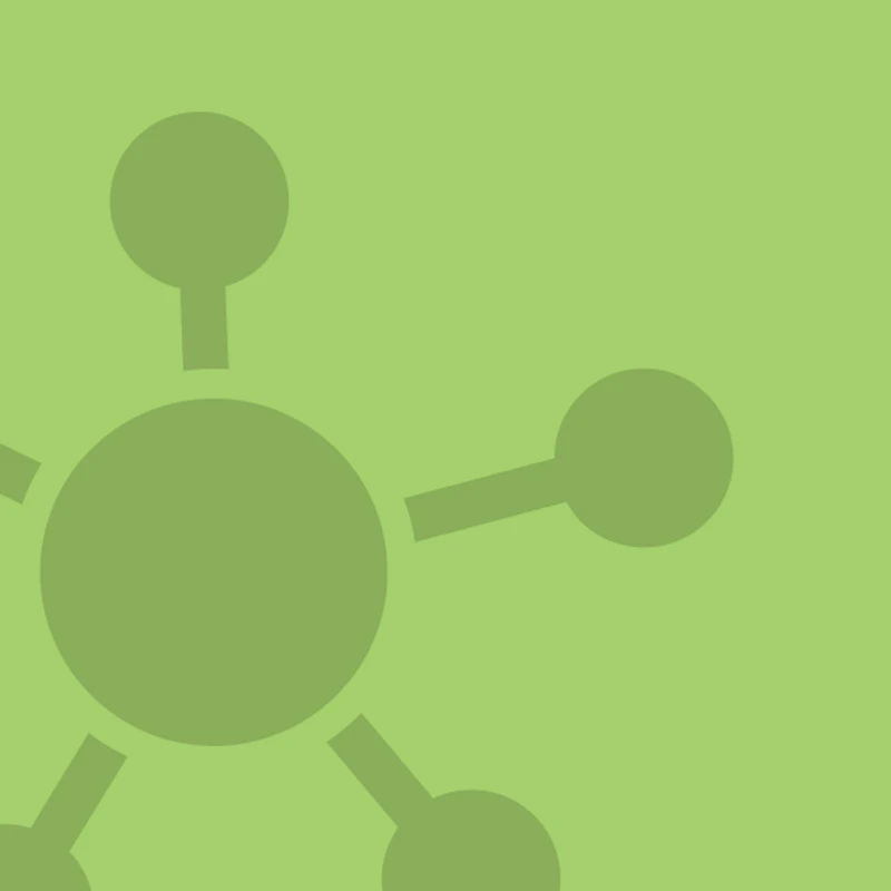 Connect: Biblical Community