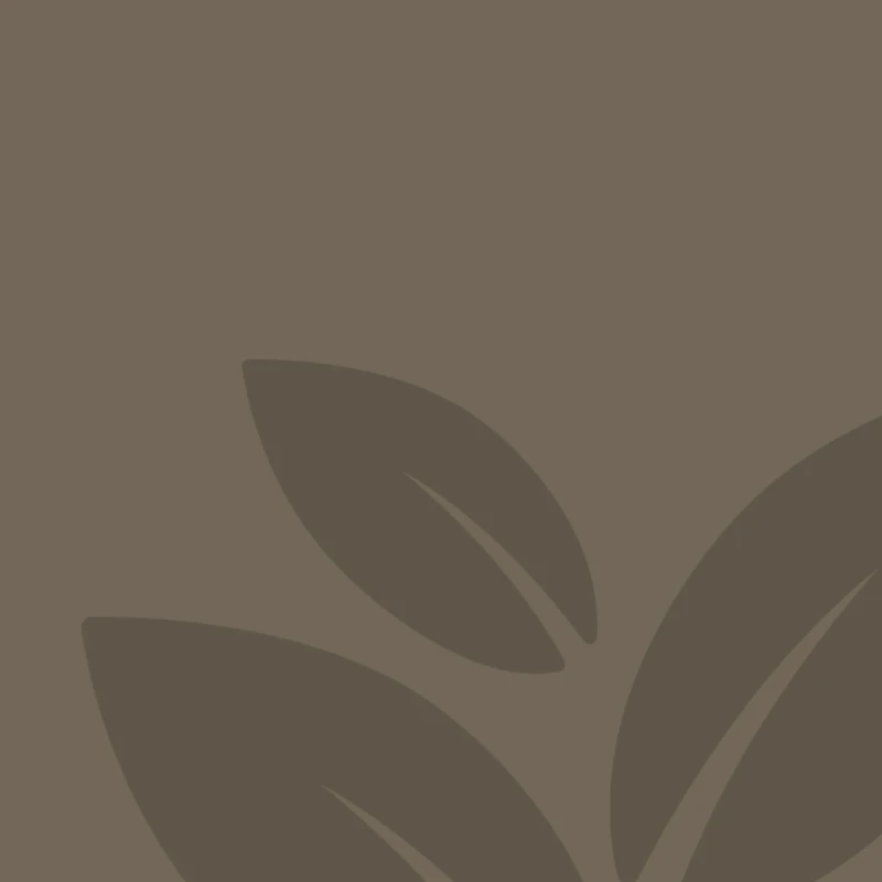 Give: Generous Investment