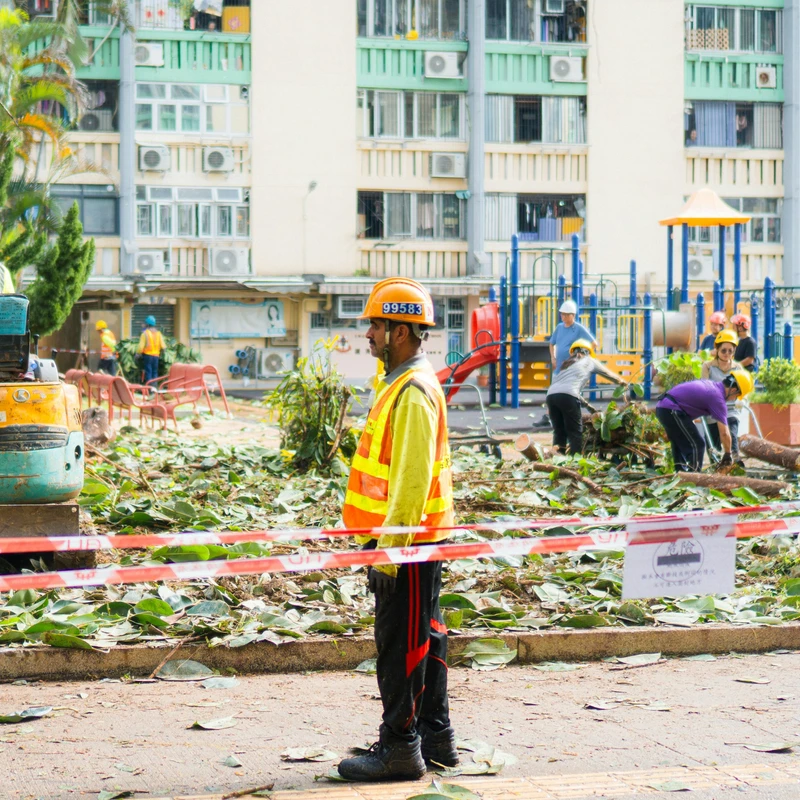 IDES (International Disaster Emergency Service)