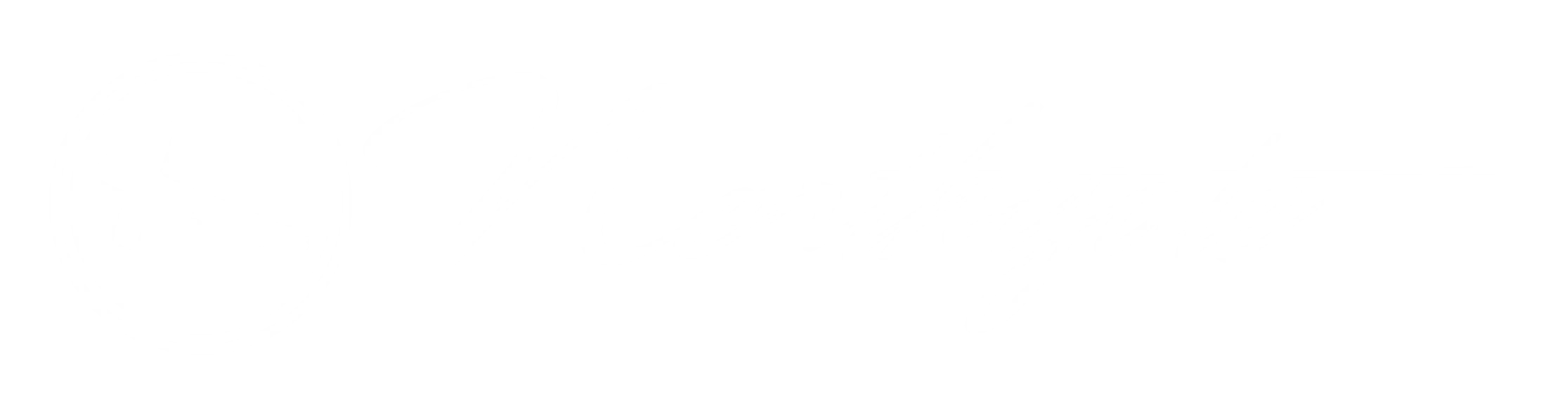 Main Logo