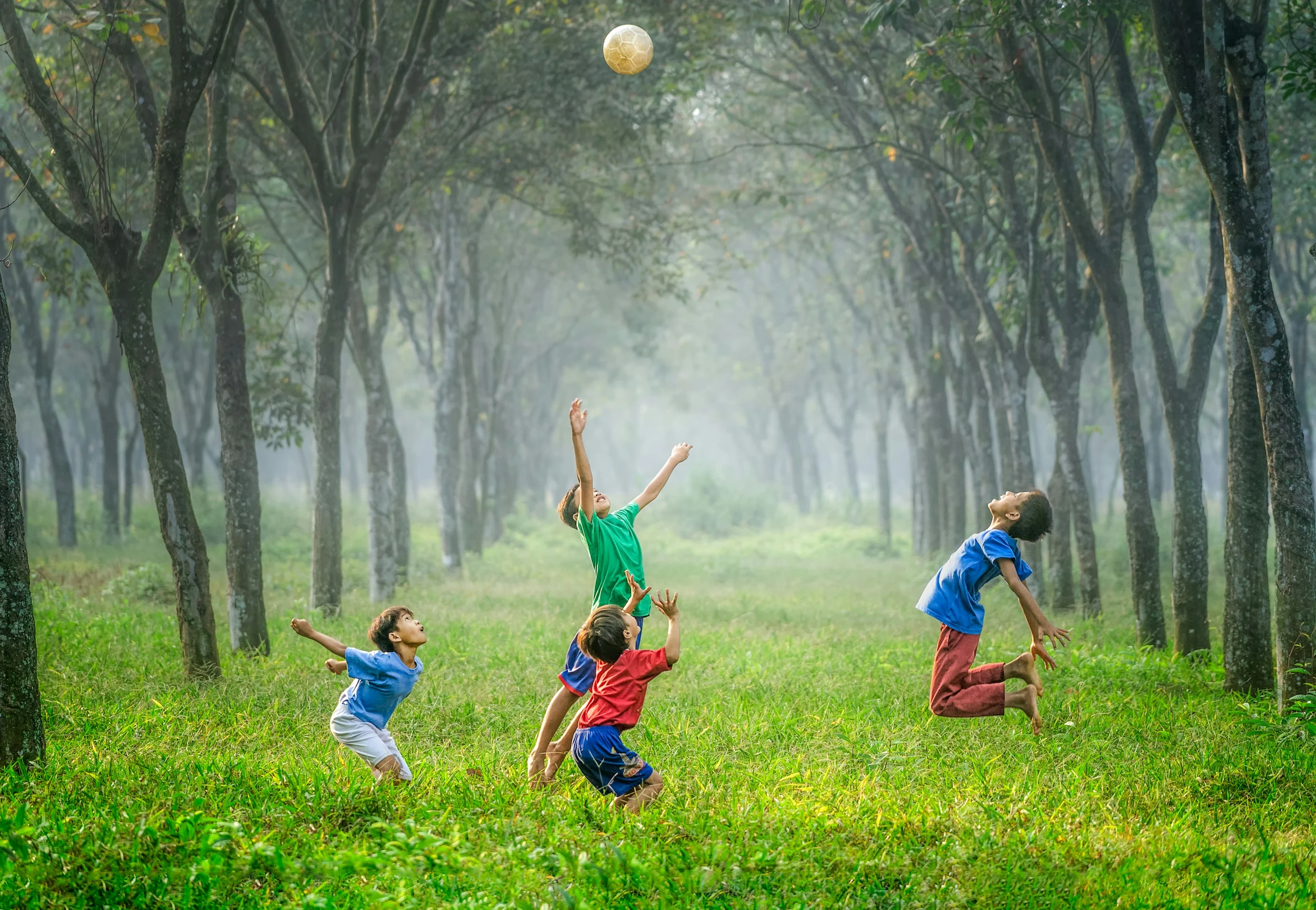 <span style="color:var(--primary-color-bg)">The Next Generation</span>