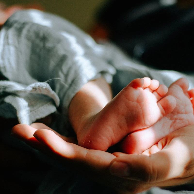 <span style="color:var(--primary-color-bg)">Baby Dedications</span>