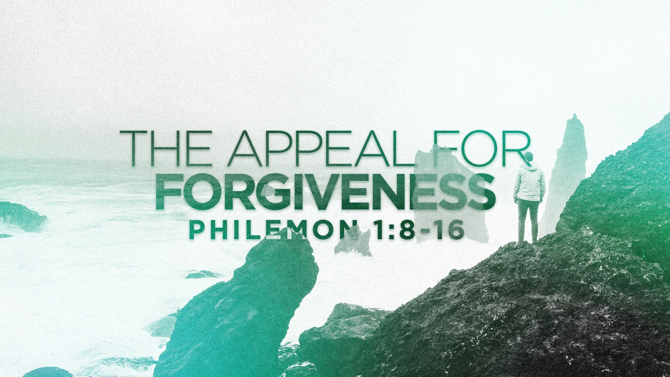 The Appeal For Forgiveness