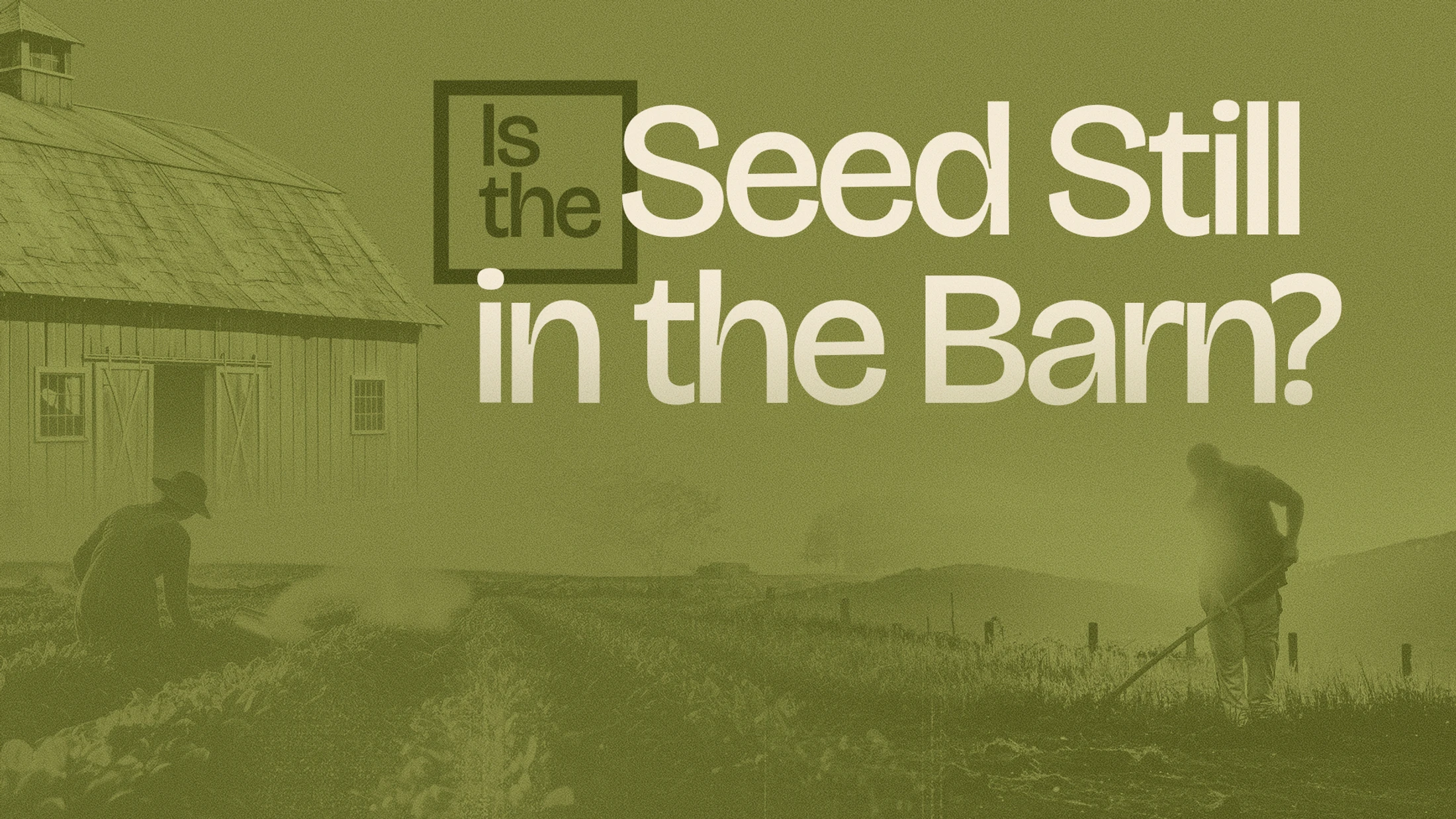 Is the Seed Still In the Barn?