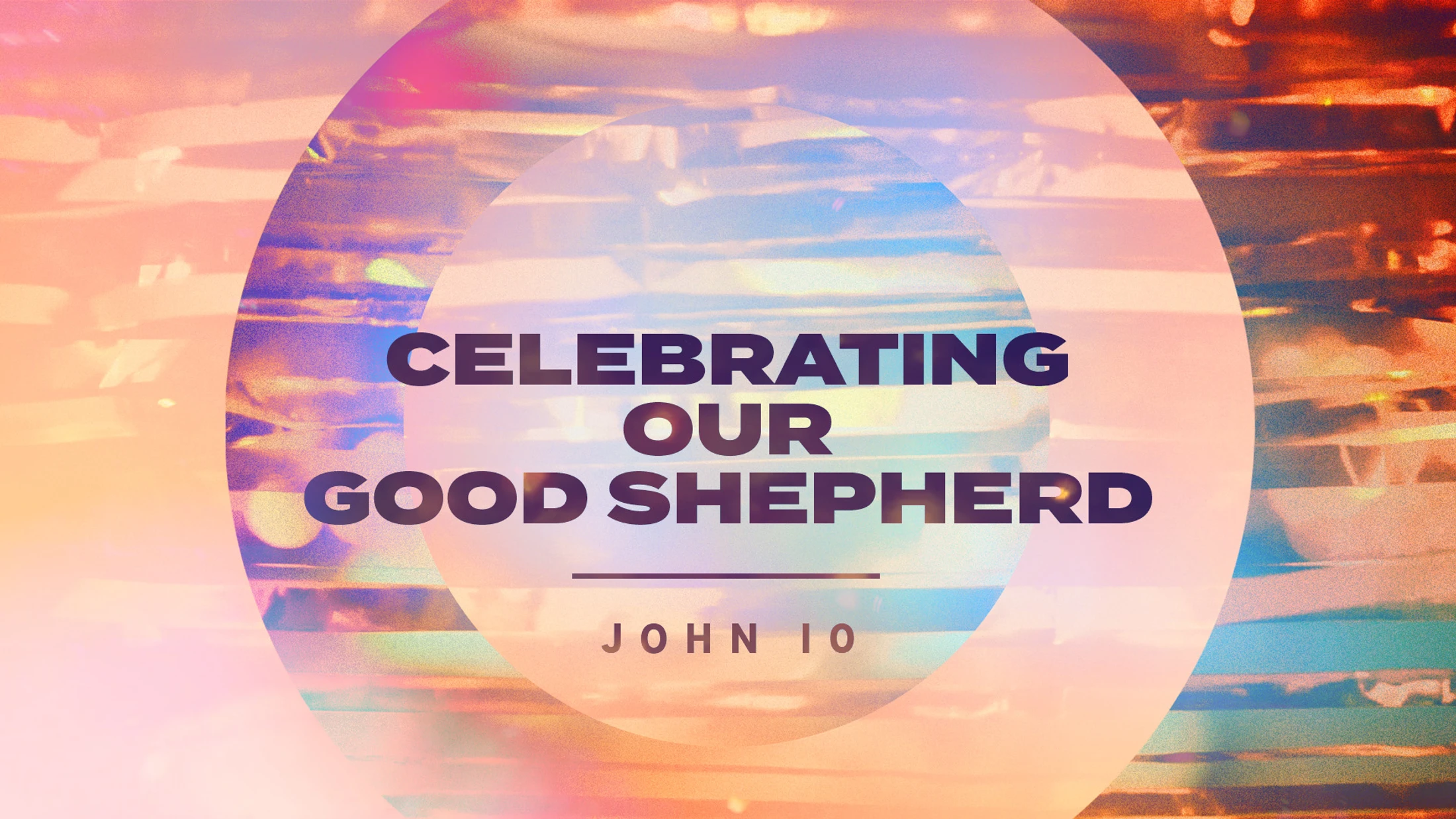 Celebrating Our Good Shepherd