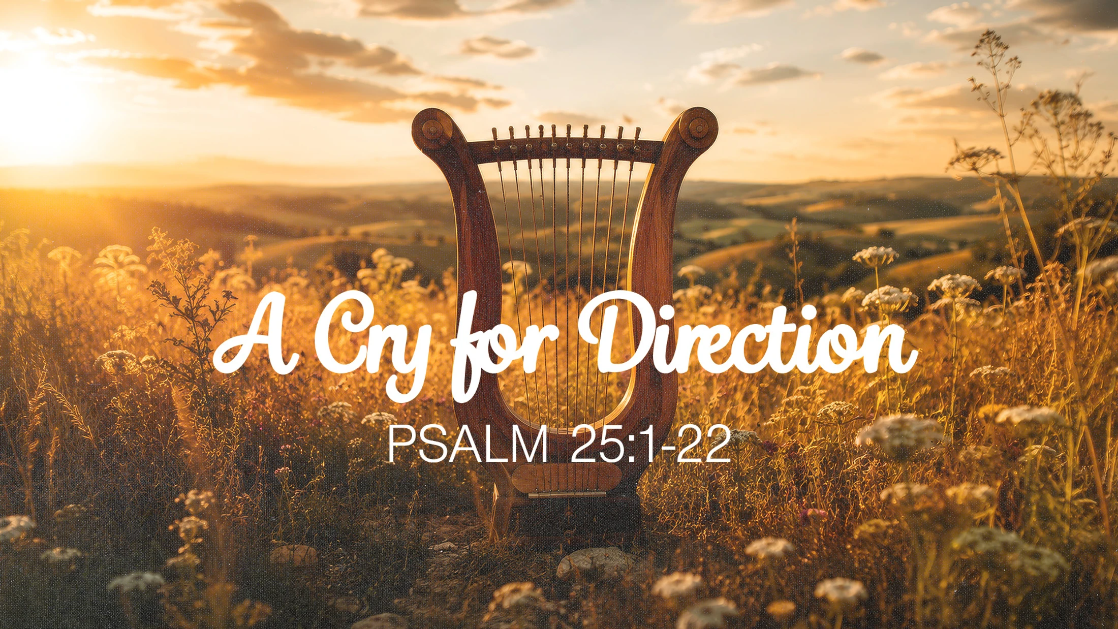 A Cry For Direction