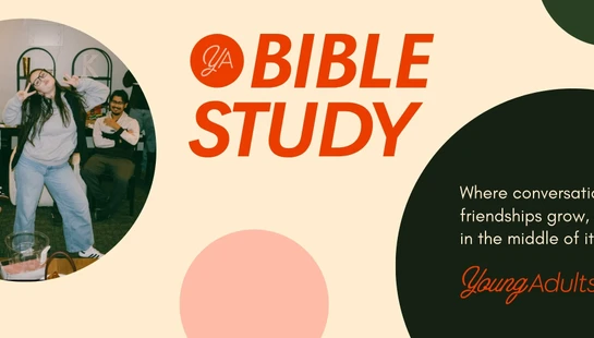 YA <span style="font-weight: normal;">Bible Study</span>