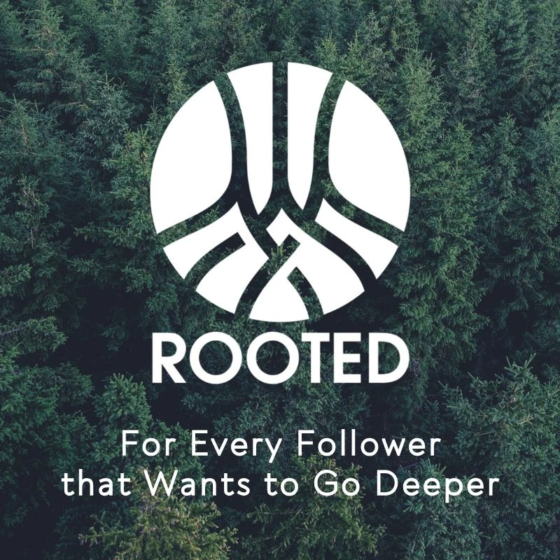 Rooted