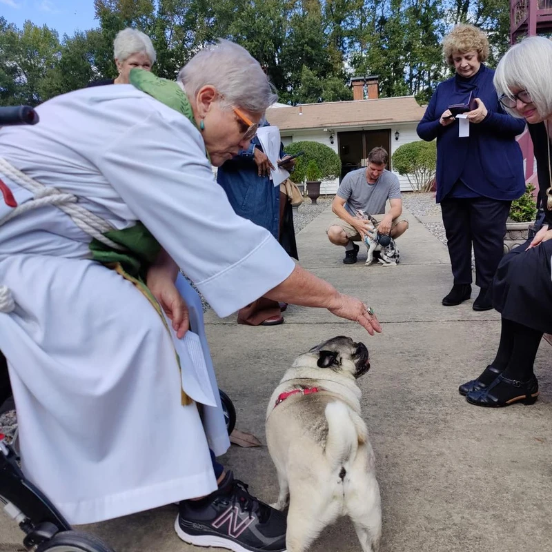 Blessing the Animals Animals are a Blessing