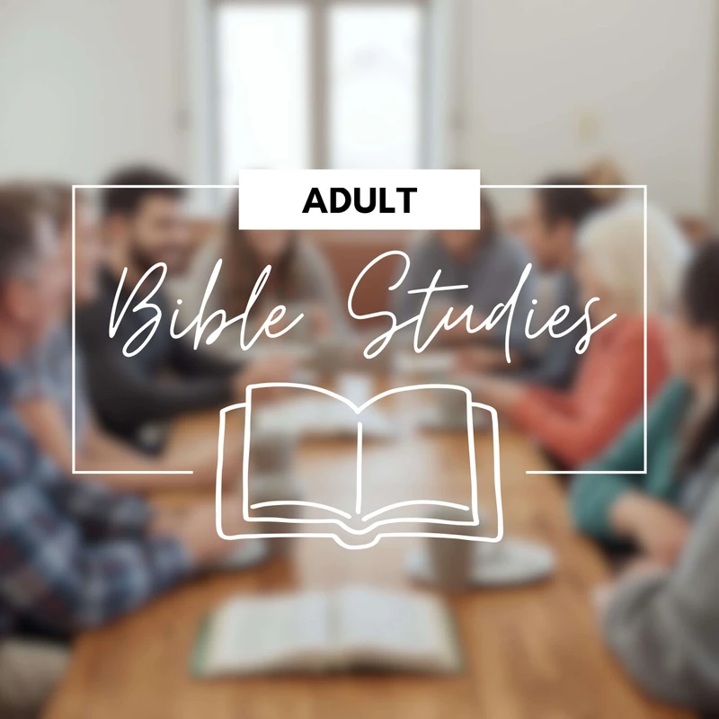 <span style="color:var(--secondary-color-bg)">Adult Bible Studies</span>