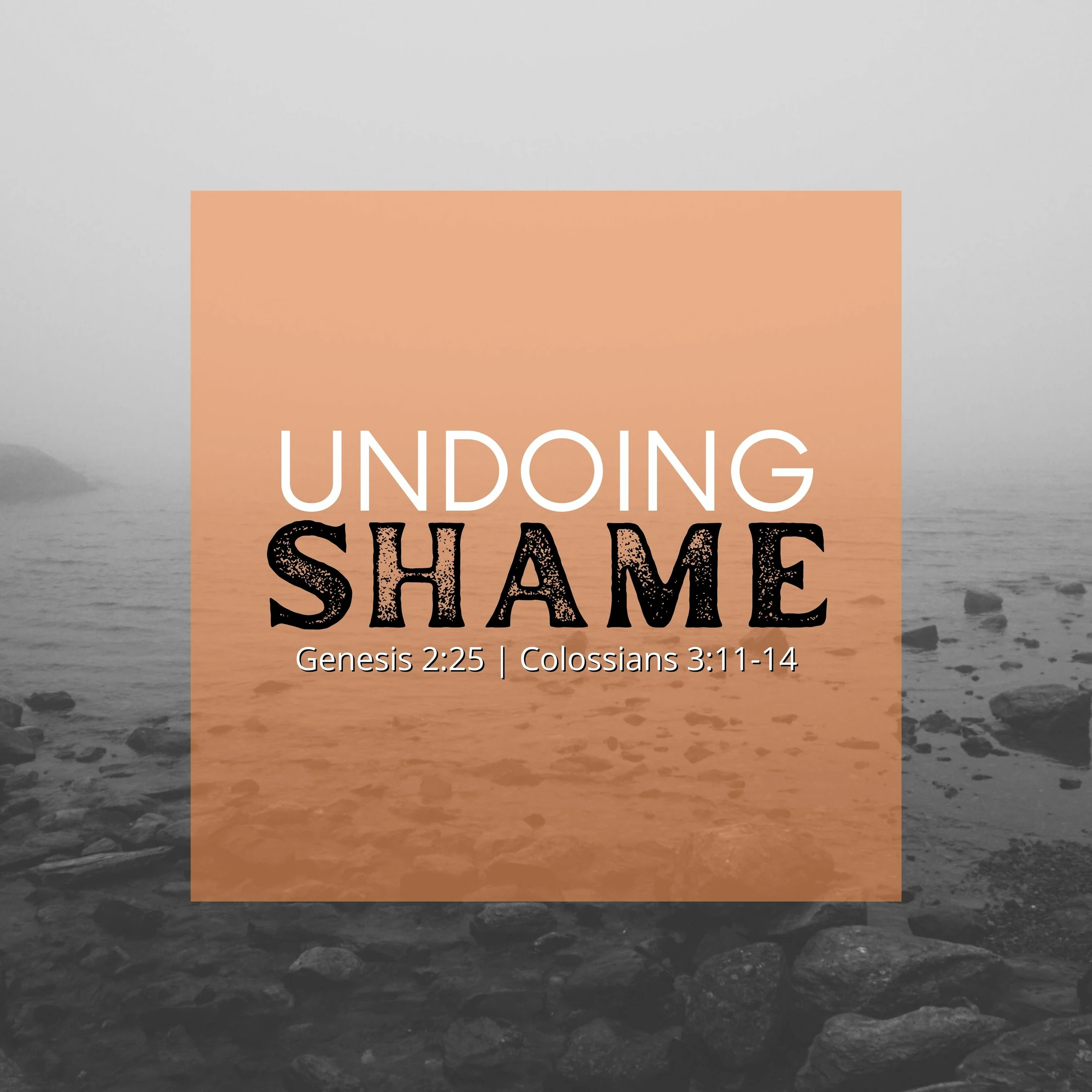 Undoing Shame