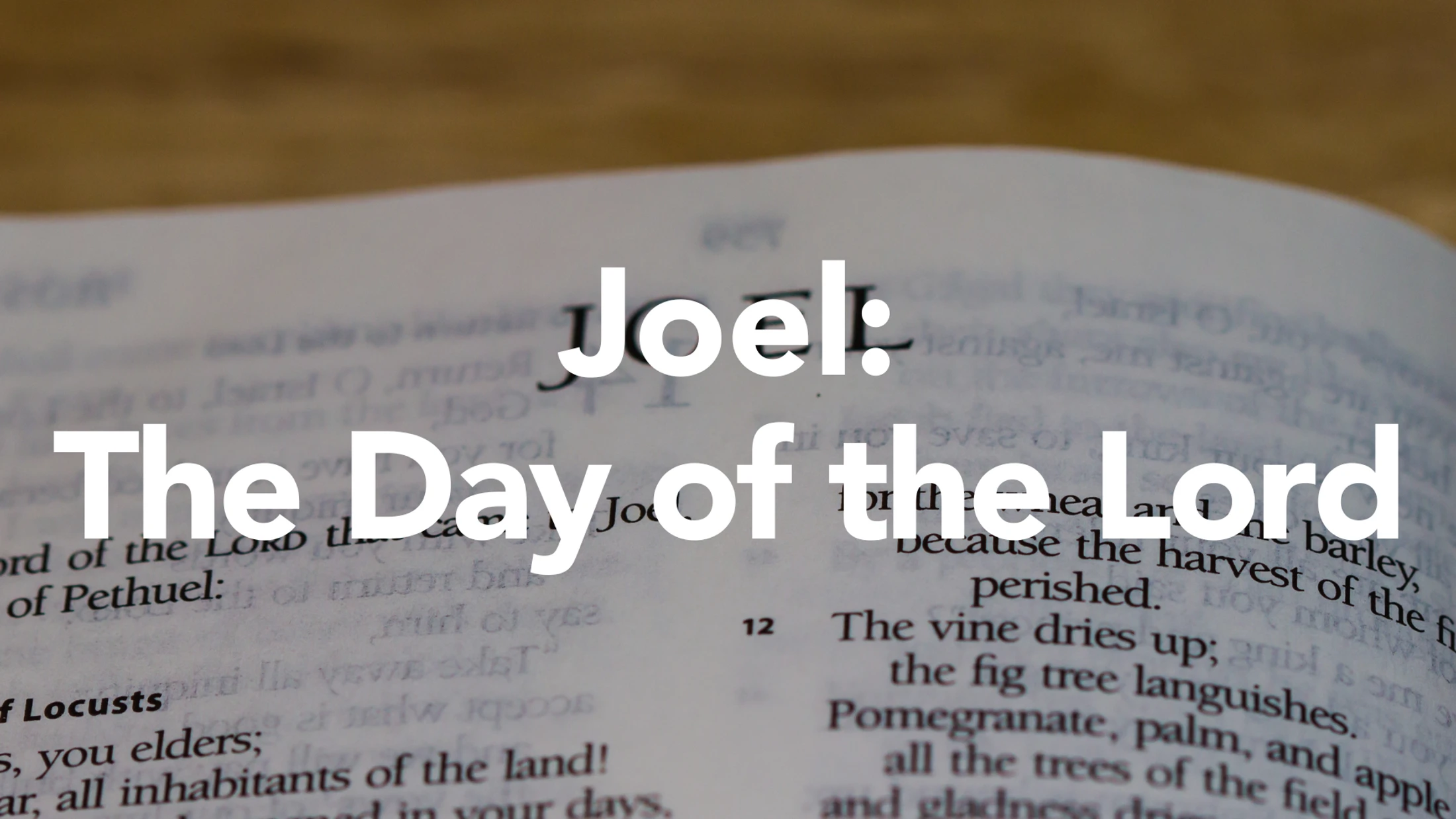 Joel: The Day of the Lord: Part 4 – The Final Day of the Lord
