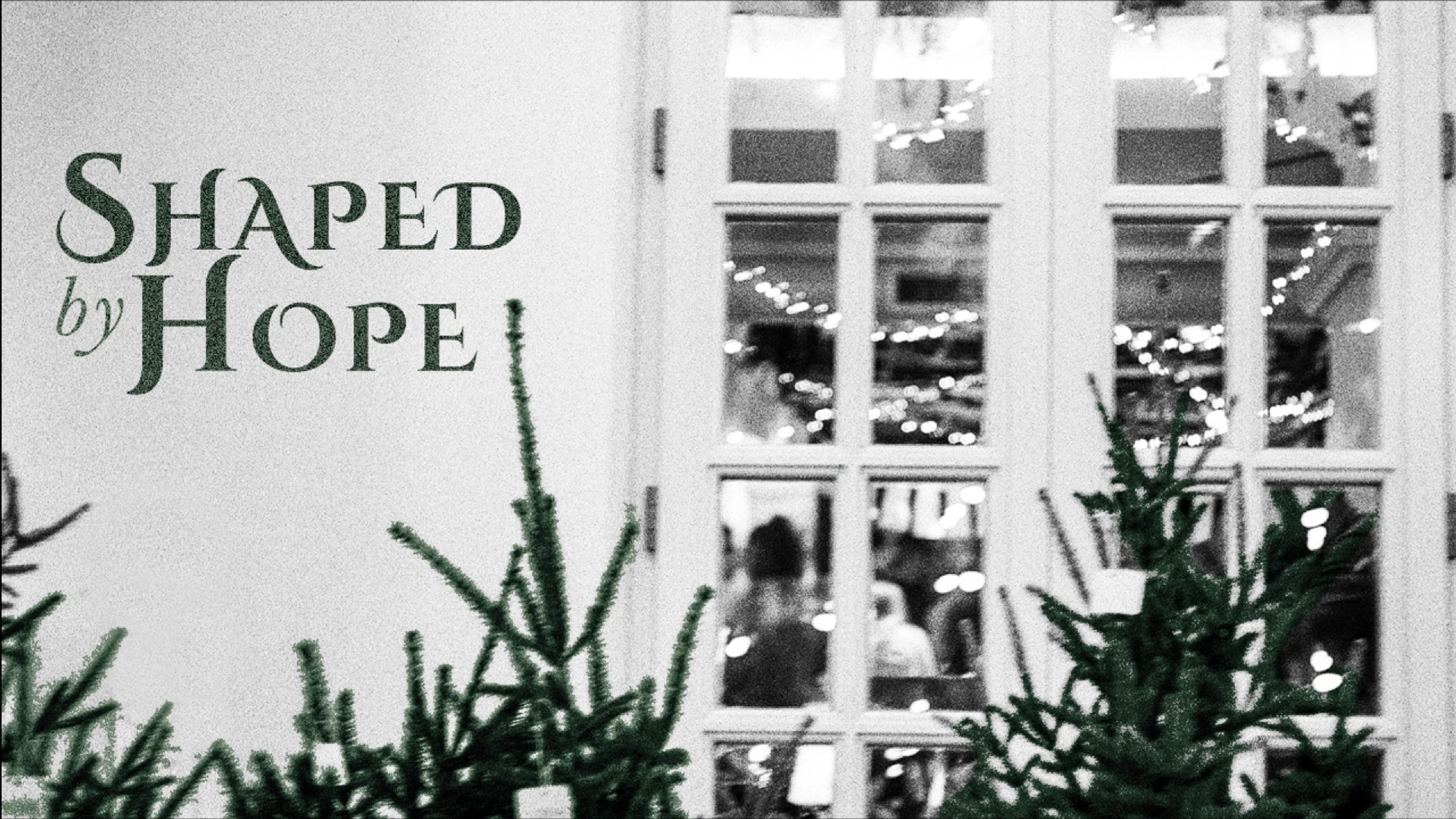 Shaped by Hope: Part 3 - Light in the Darkness