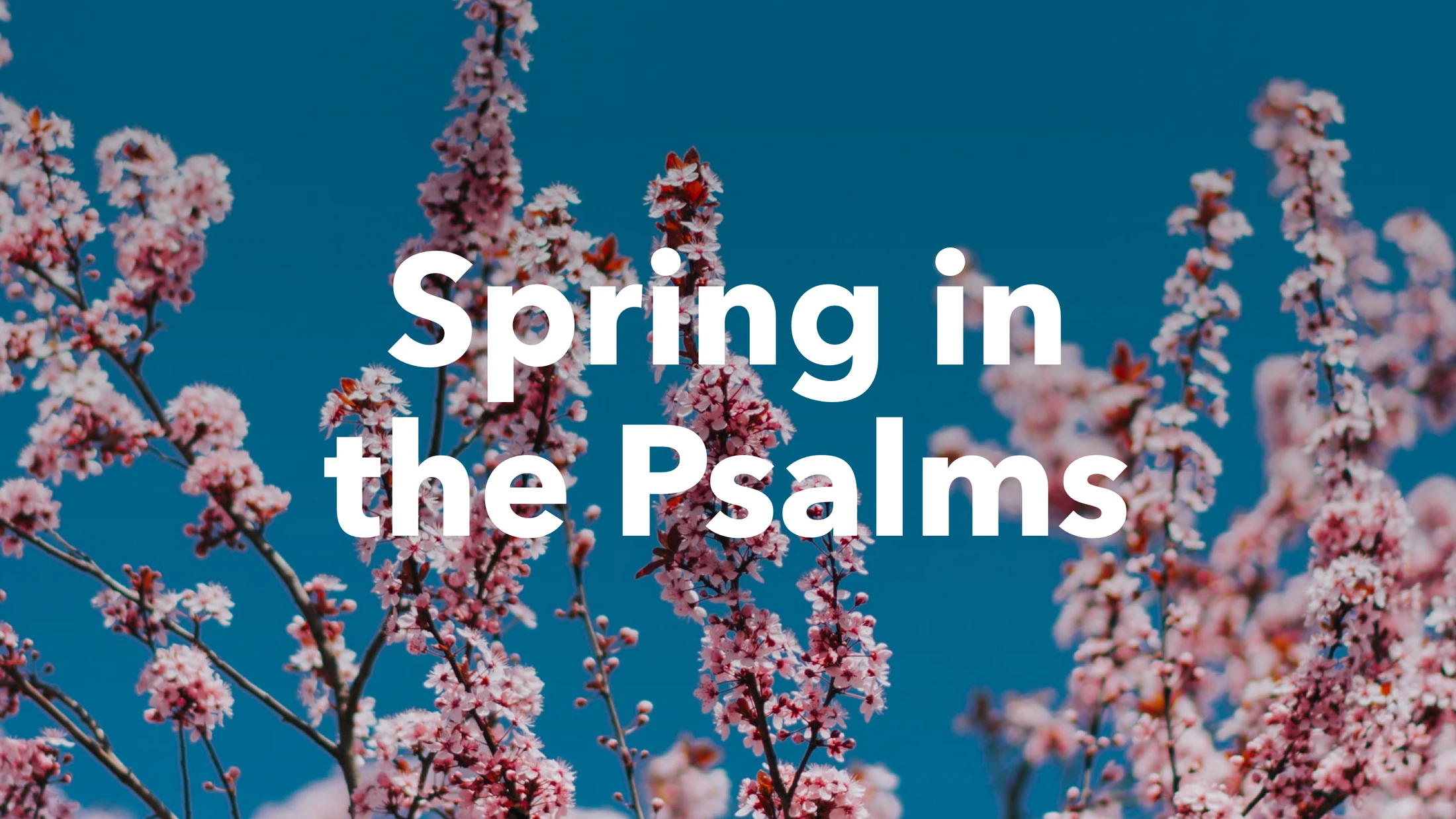 The Lord is My Shepherd - Psalm 23