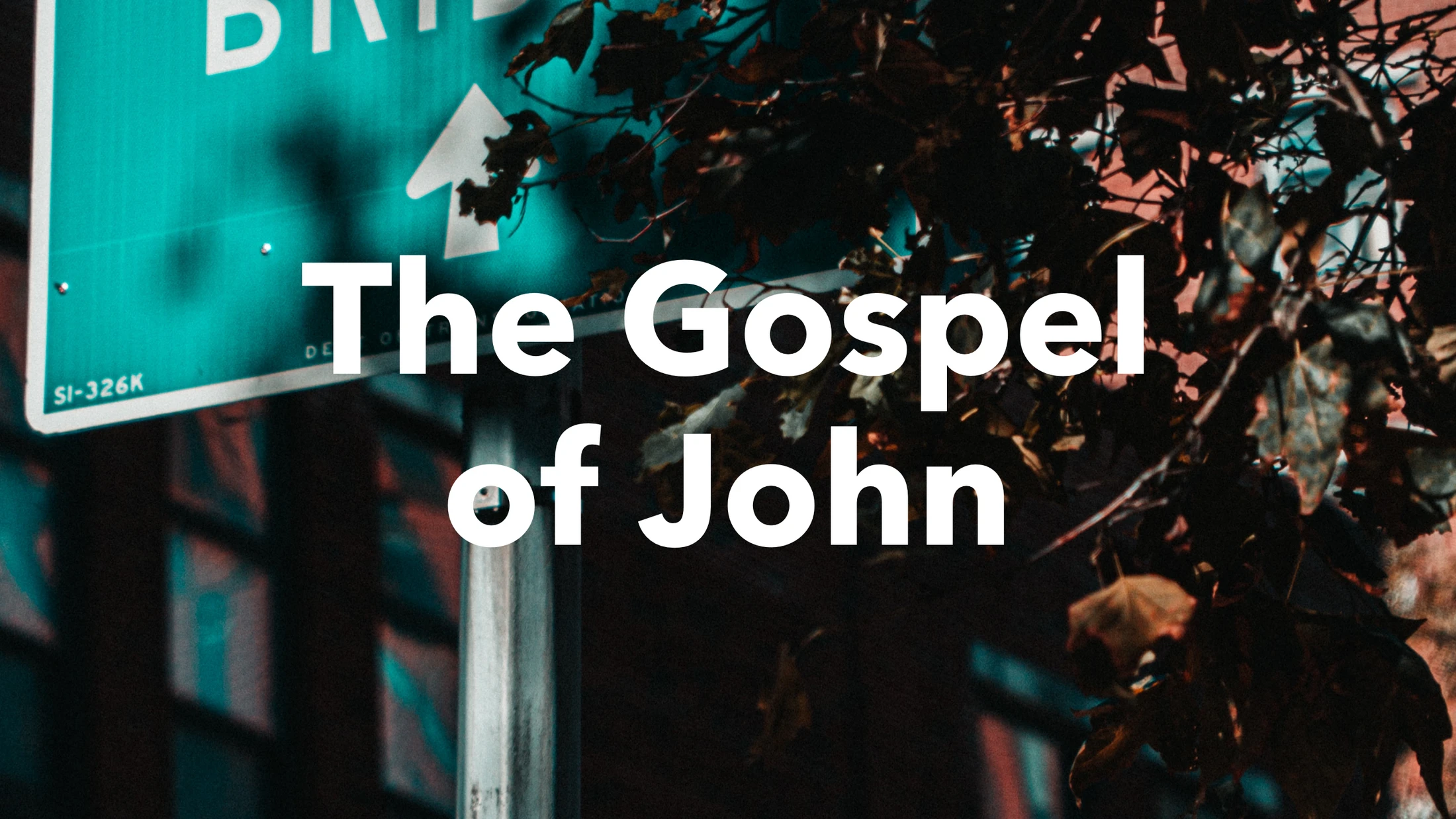 I Am The Good Shepherd - John 10:1–21