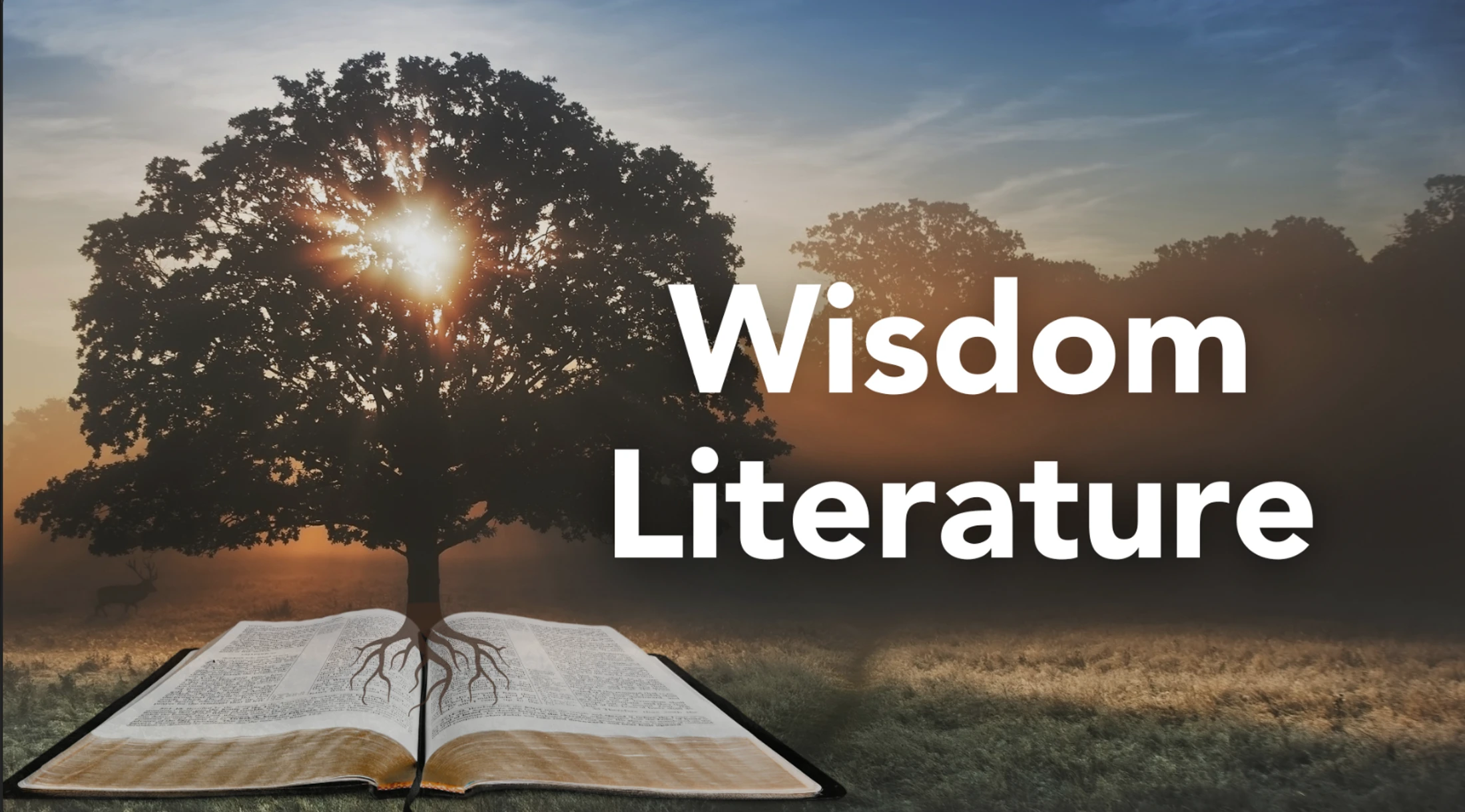 Wisdom Literature: Part 8