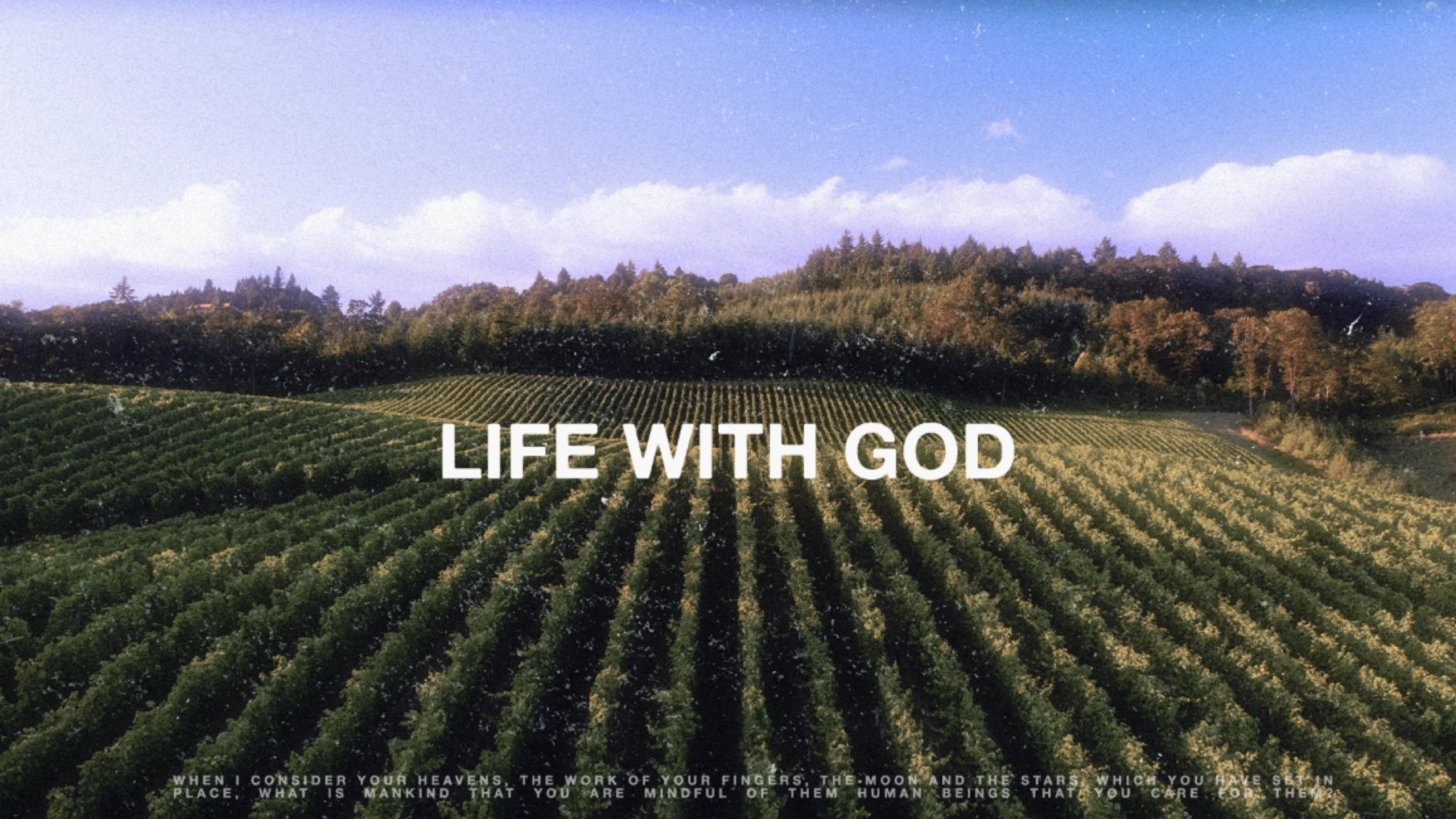 Life with God: Part 6 - Quieting Our Heart