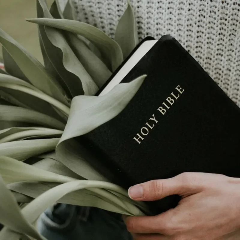 New Testament In A Year