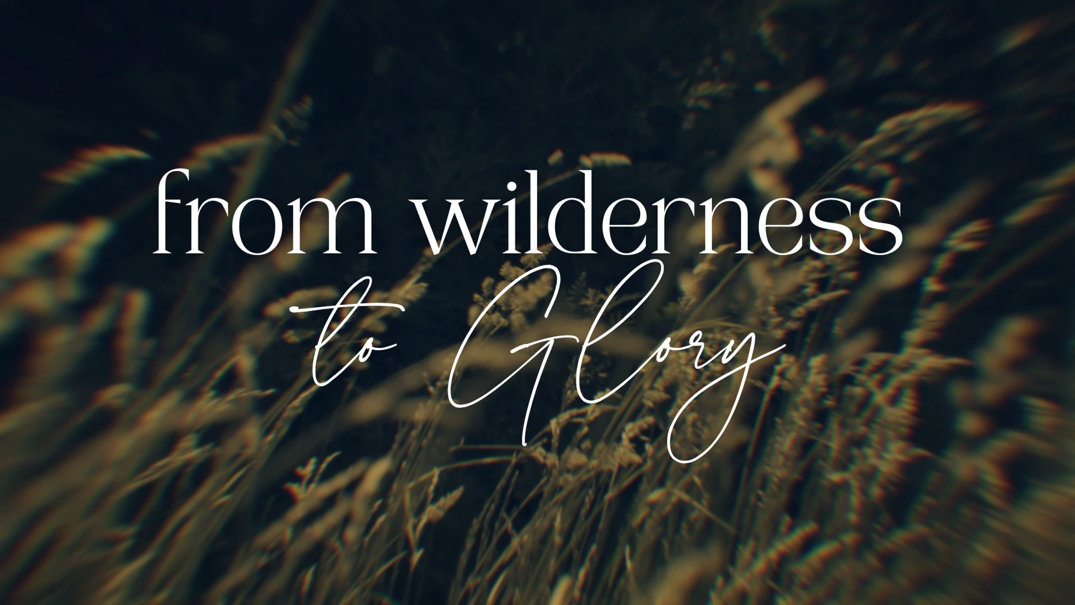 Jesus Among Enemies | Wilderness To Glory | Mark Elford