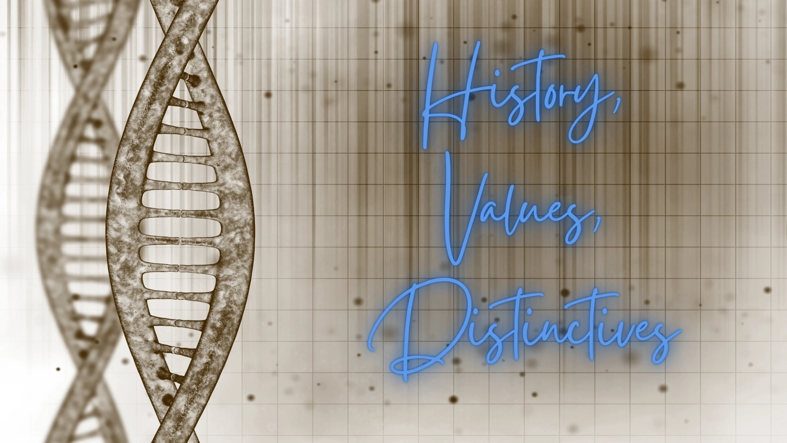 Our <span style="color:var(--primary-color-bg)">Story</span>