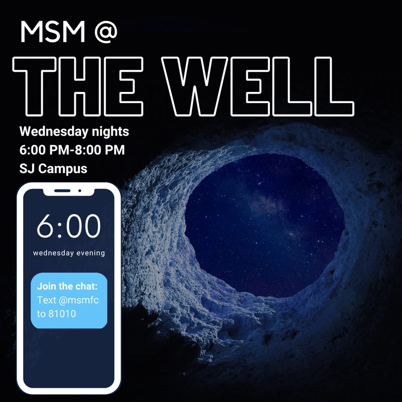MSM@ The Well