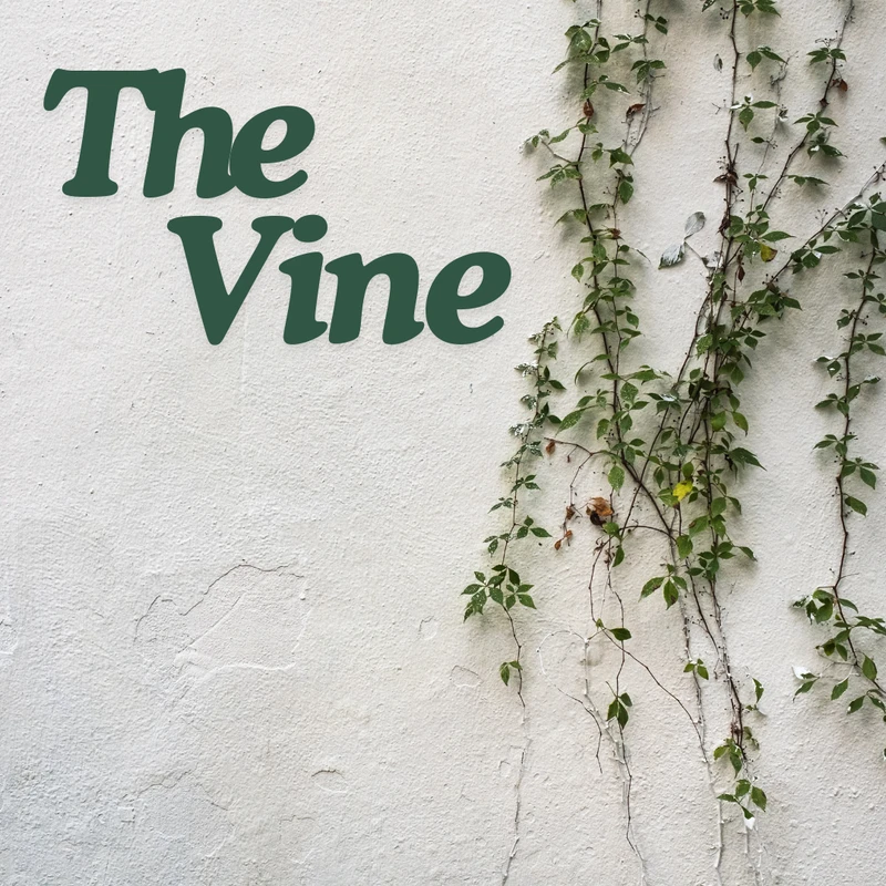 THE VINE