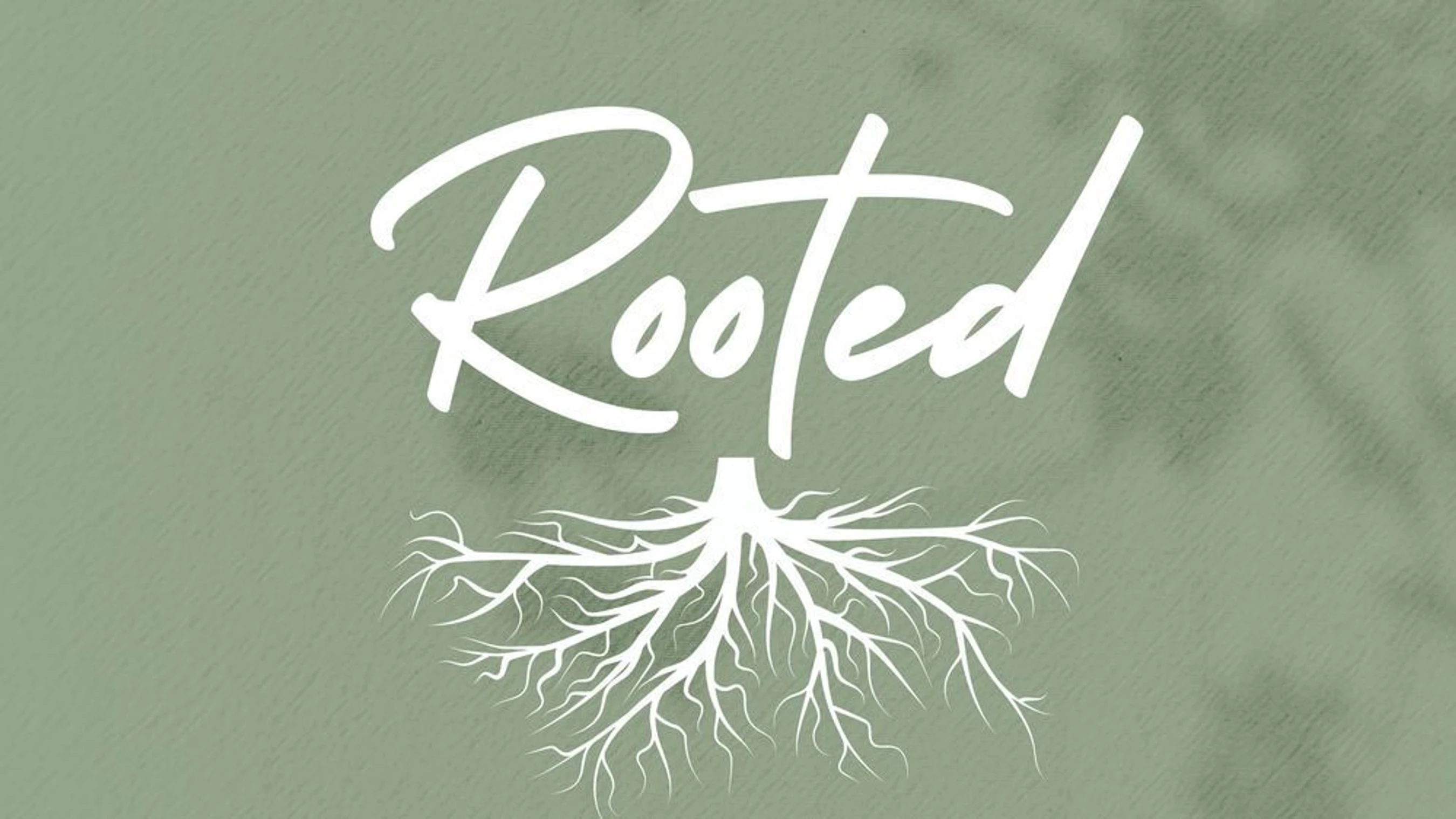 The word 'Rooted' in a white script font on a sage green background. An illustration of a tree's root system extends from the bottom of the word.
