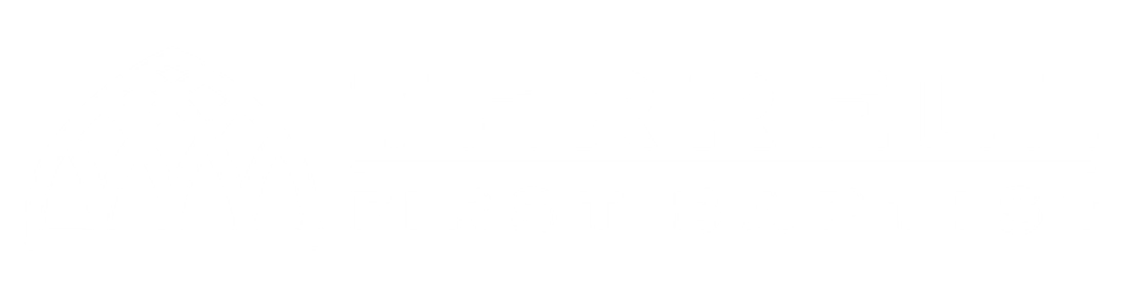Main Logo