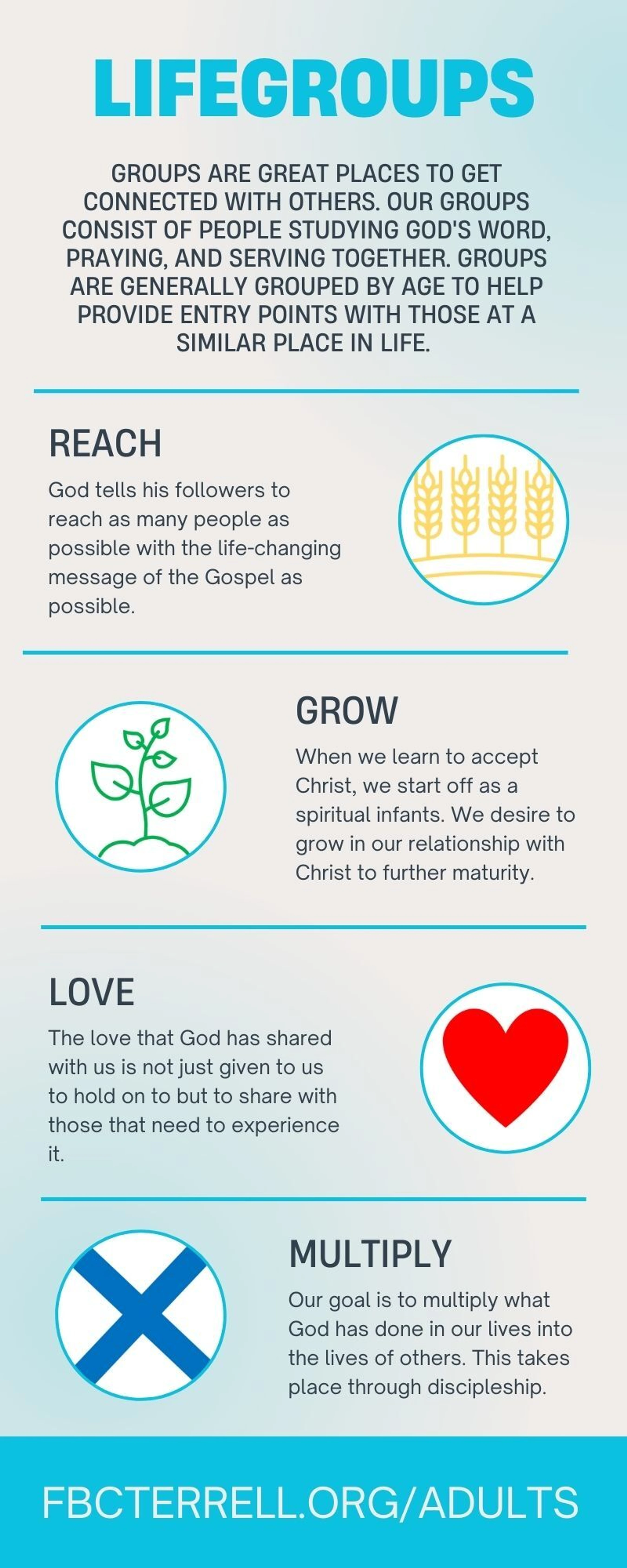 An infographic explaining the purpose of Lifegroups with four key actions: Reach, Grow, Love, and Multiply, each with a corresponding icon and description.