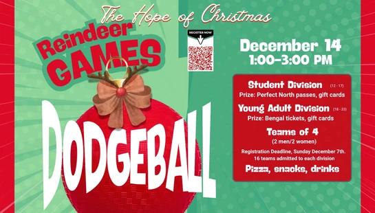 Dodgeball <i>Tournament</i>