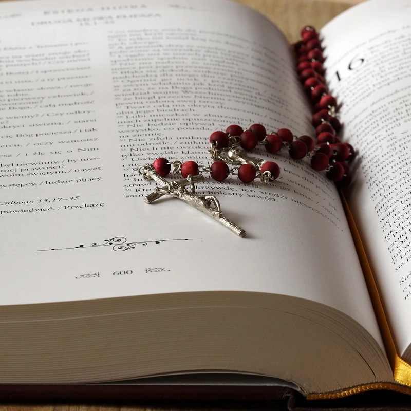 Bible Study