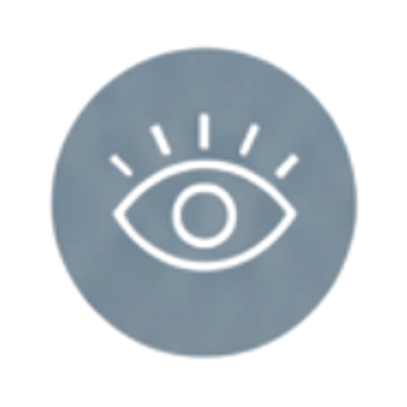 Our Vision