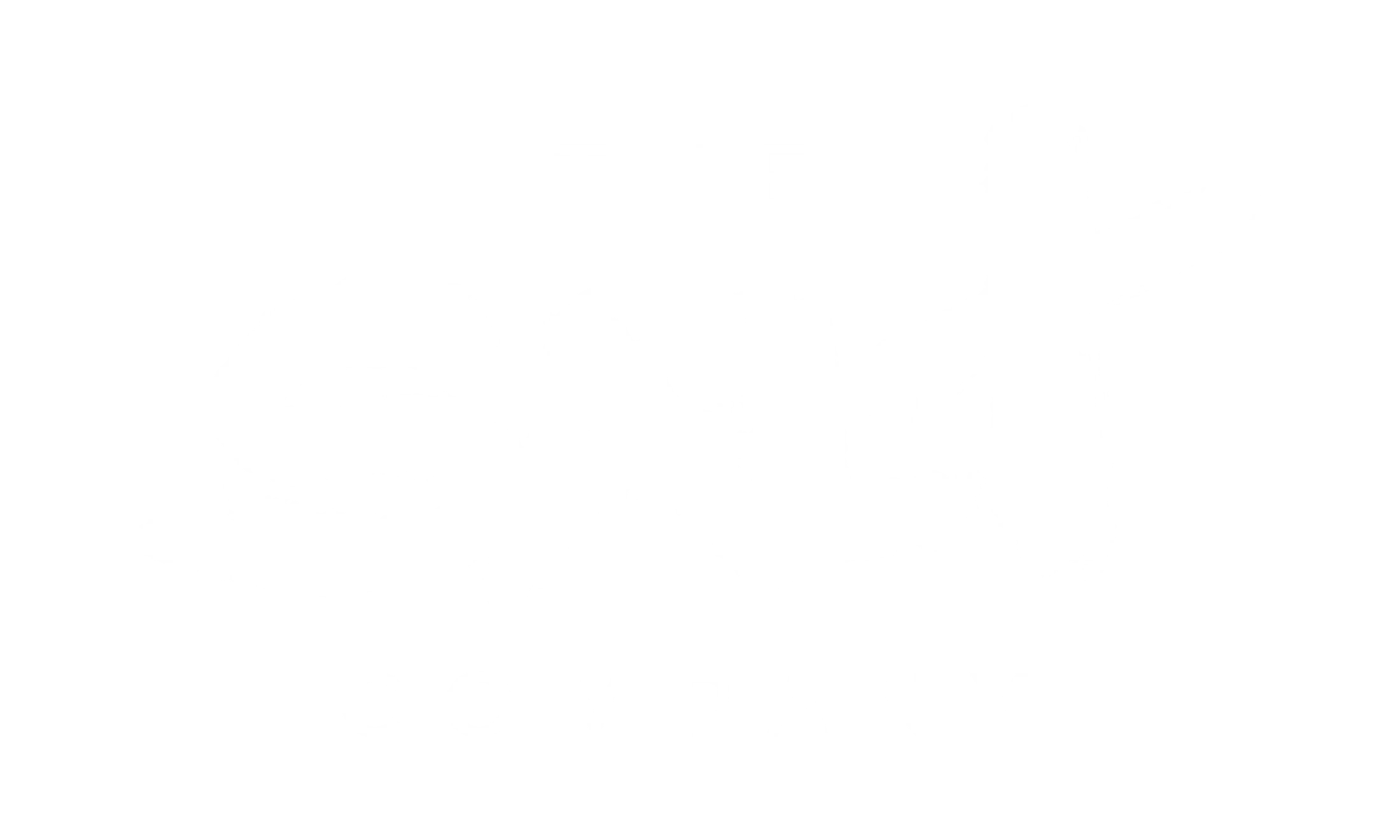 The logo for The S Company. It features the word 'THE' above a large, stylized 'S' in a brushstroke style, with the word 'COMPANY' underneath.