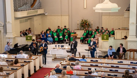 Adult Ensembles