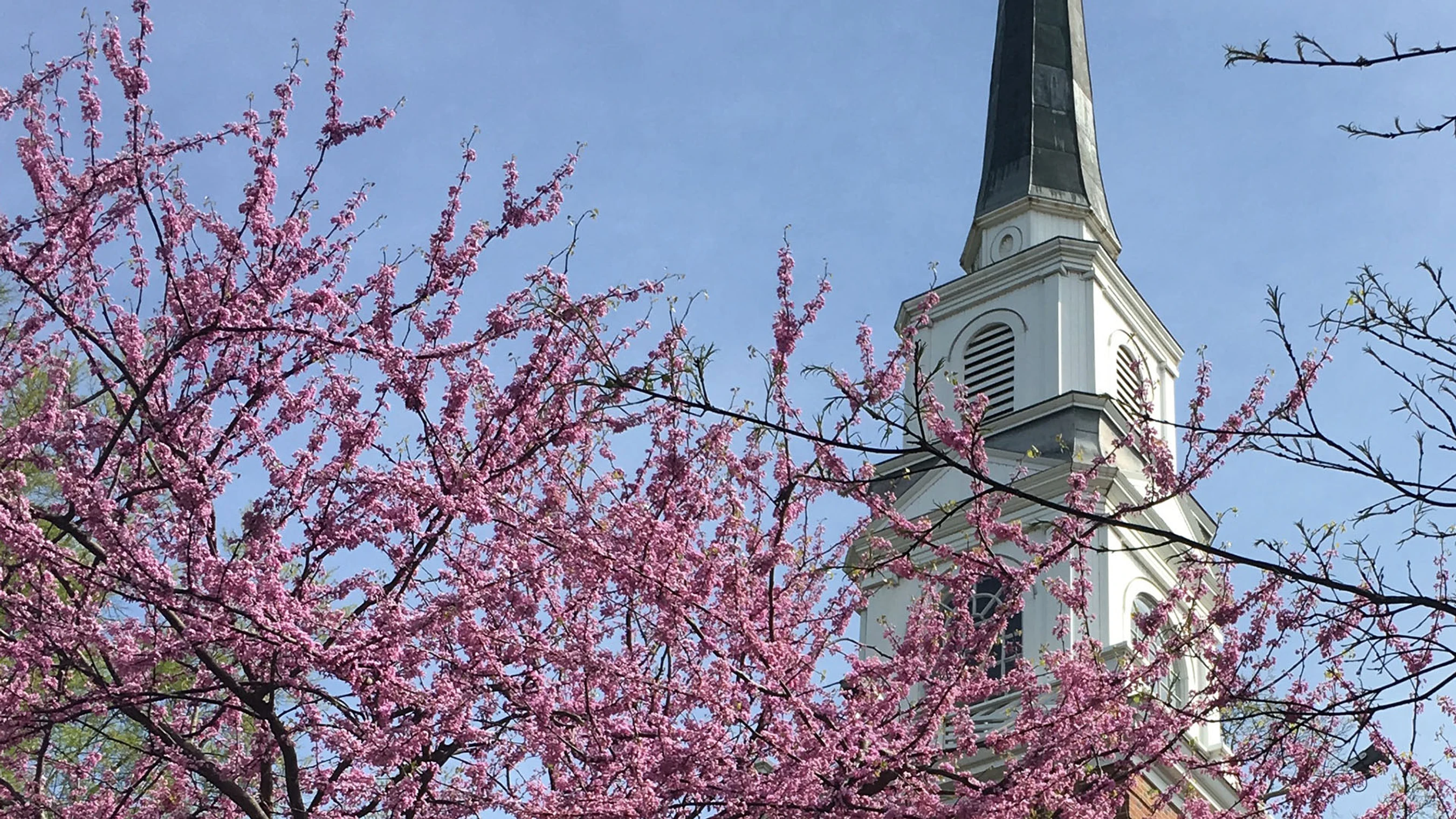 White Memorial Presbyterian Church Foundation