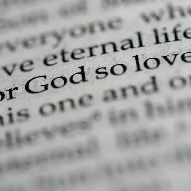 <span style="color:var(--secondary-color-bg)">God Loves You</span>