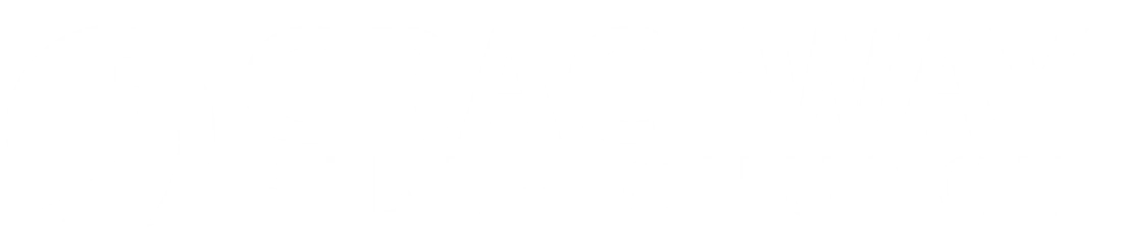 Main Logo