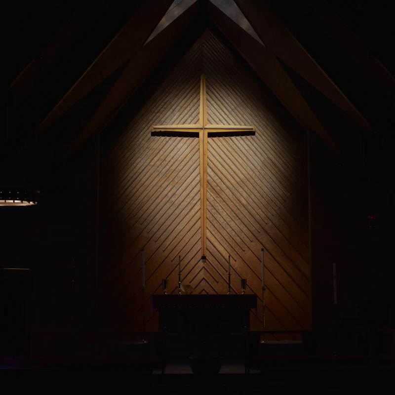 <span style="color:var(--secondary-color-bg)">Jesus Came to Save Us</span>