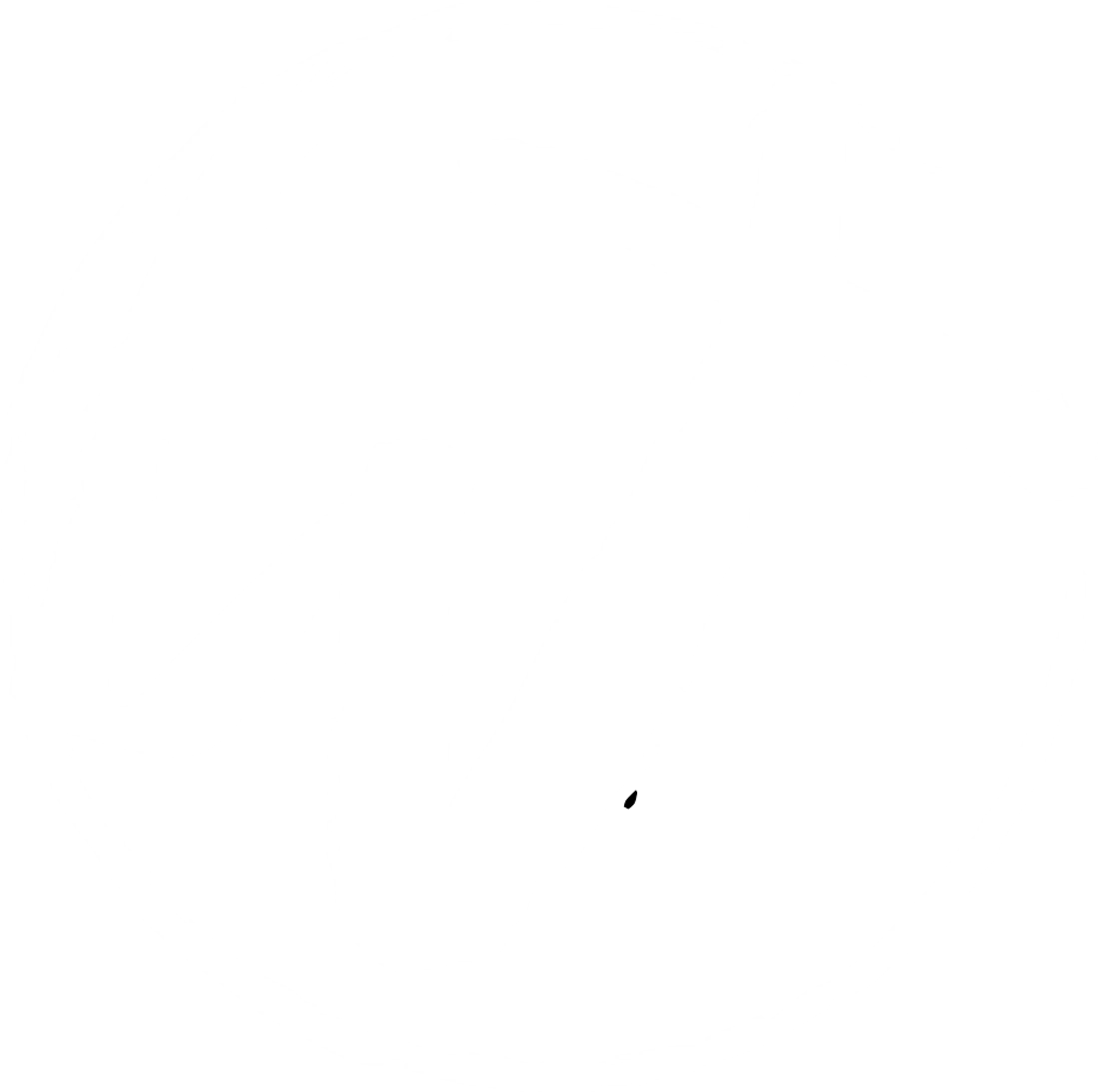 Main Logo