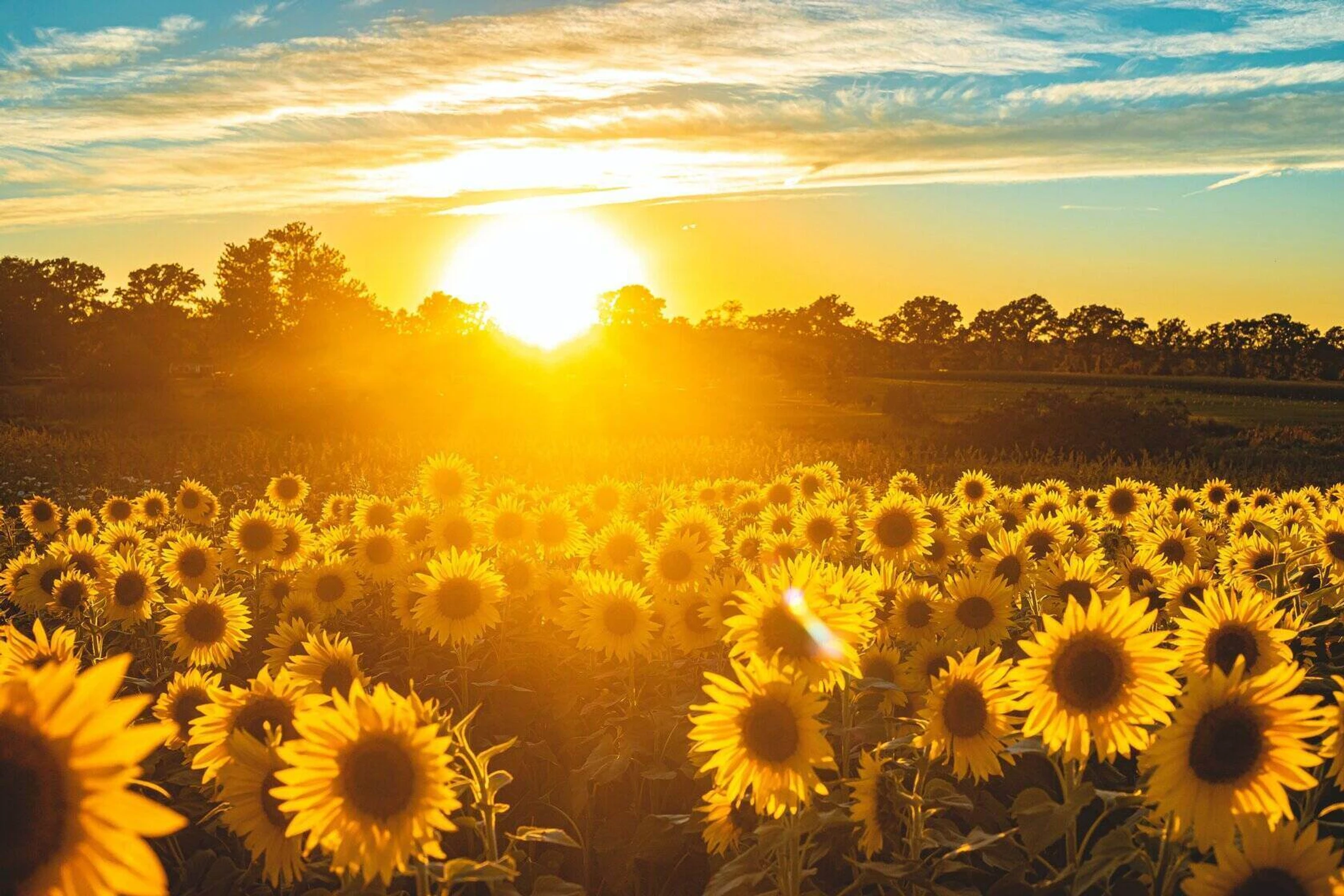 God’s Economy of Super Abundance – part 2