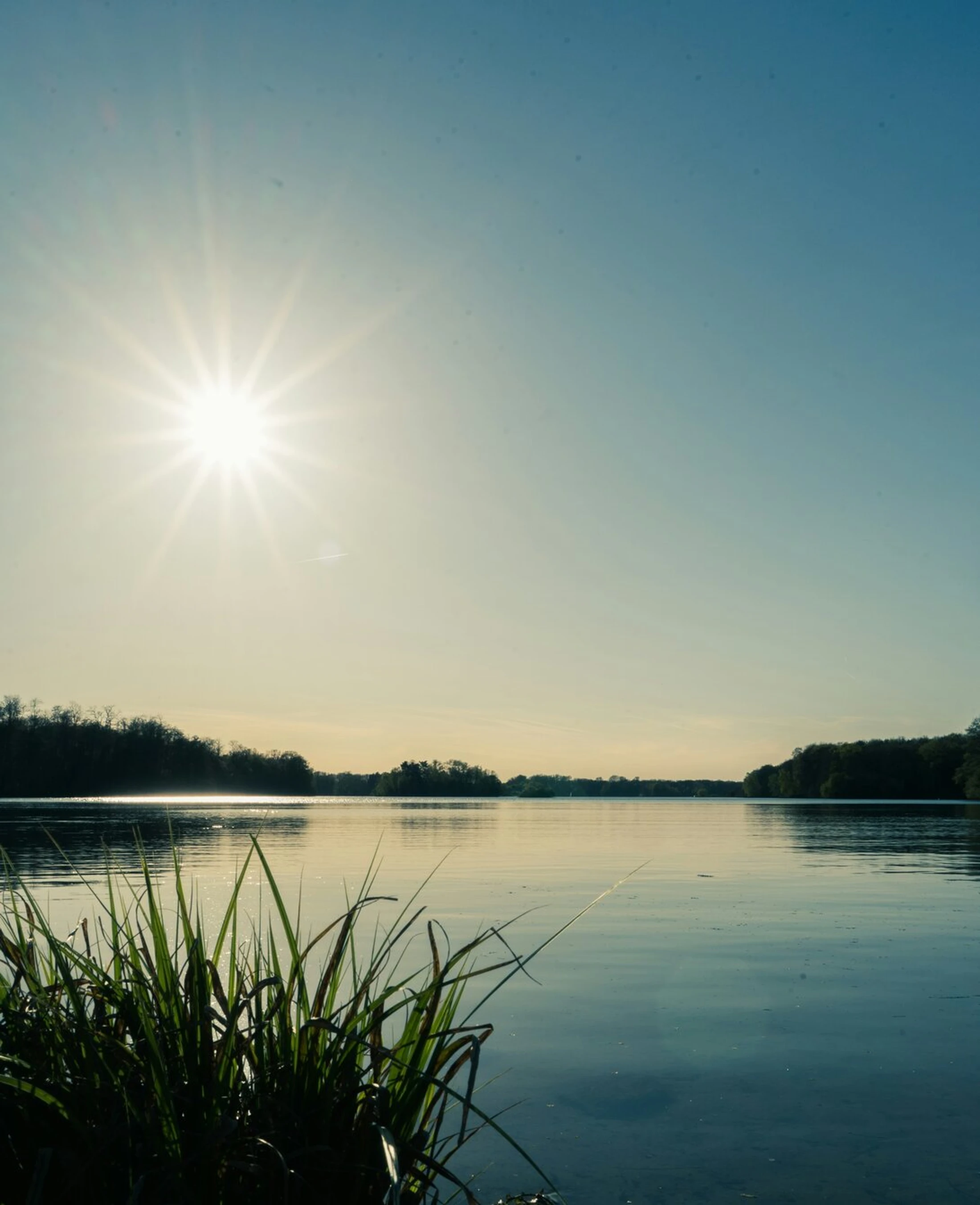 Prayer Sunday - Bathed in Prayer