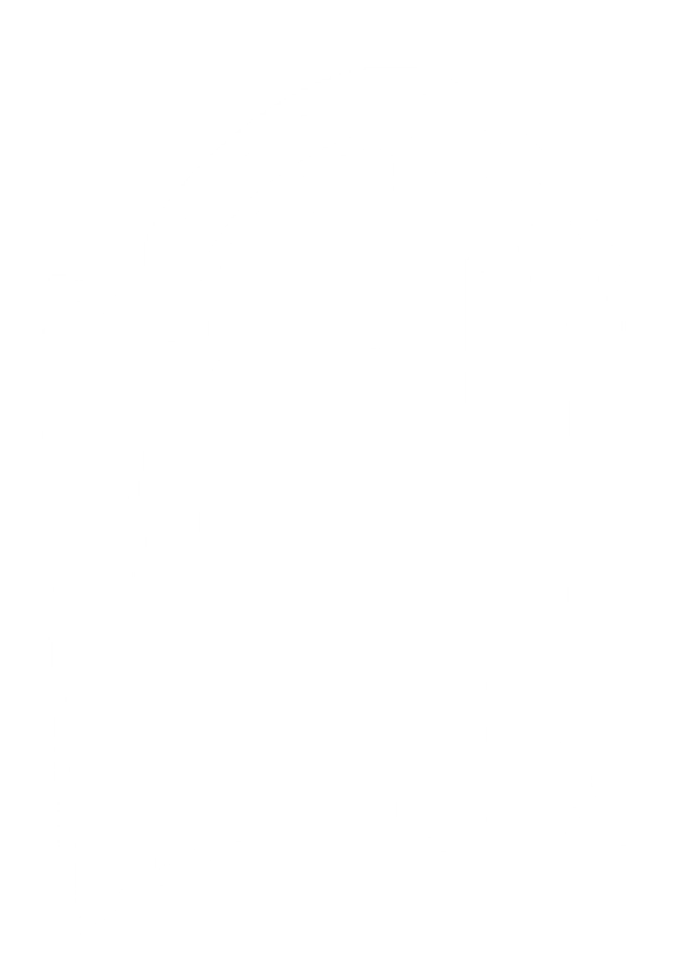 Main Logo