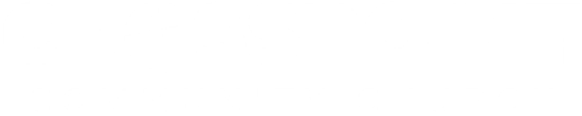 Main Logo