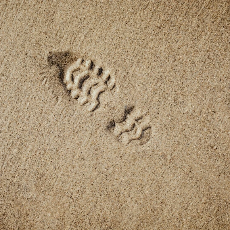 As we consider our legacy for the next 20+ years, the Crosspoint Community Elders believe we are at a unique time in our church history. We must consider and prayerfully plan for our present and future, including, but not limited to, our physical campus and facilities.