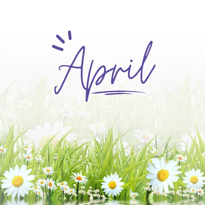 The Header image