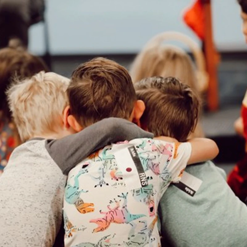<span style="color: var(--primary-color-bg);"><span style="letter-spacing: 0.3rem;">NIÑOS RHCC</span></span>