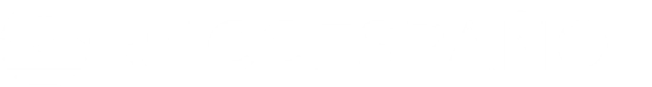 Main Logo