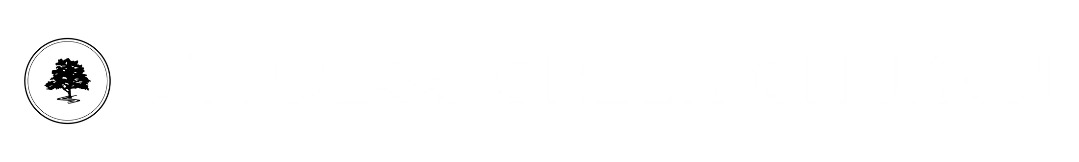 Main Logo