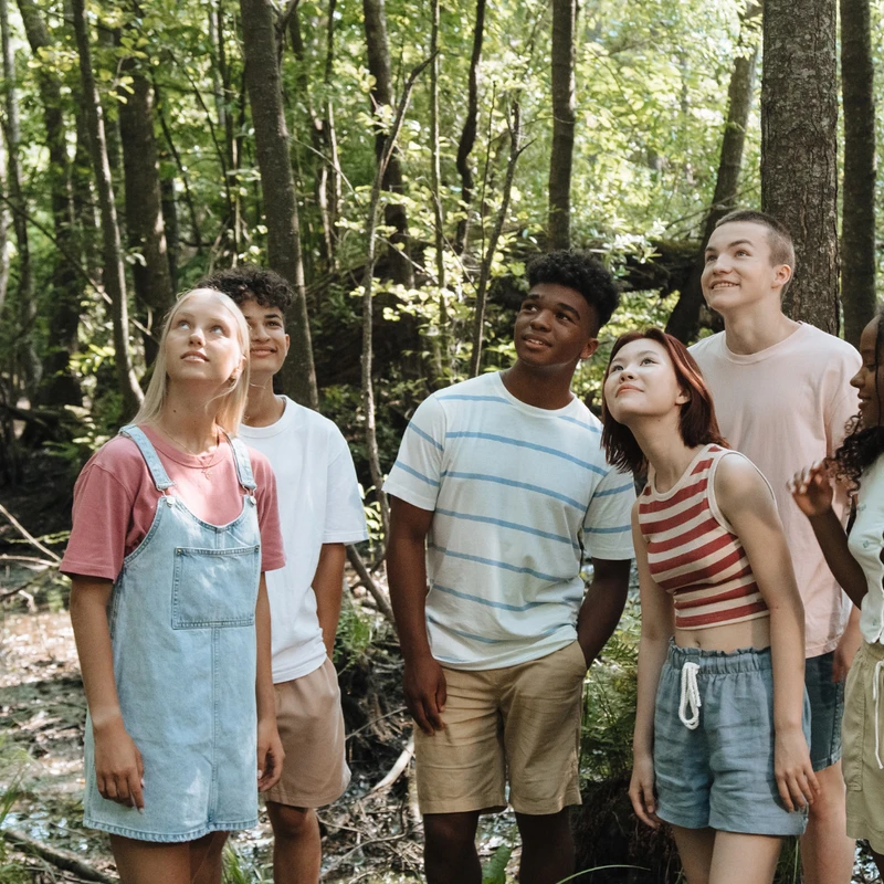 A diverse group of six teenagers stand together in a sunlit forest next to a marshy creek, all looking up with expressions of curiosity and wonder.